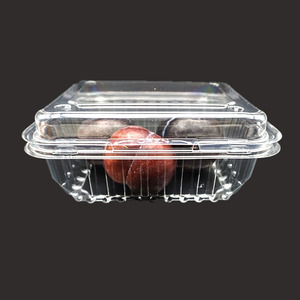 零售易 YG-500A(X6）水果盒