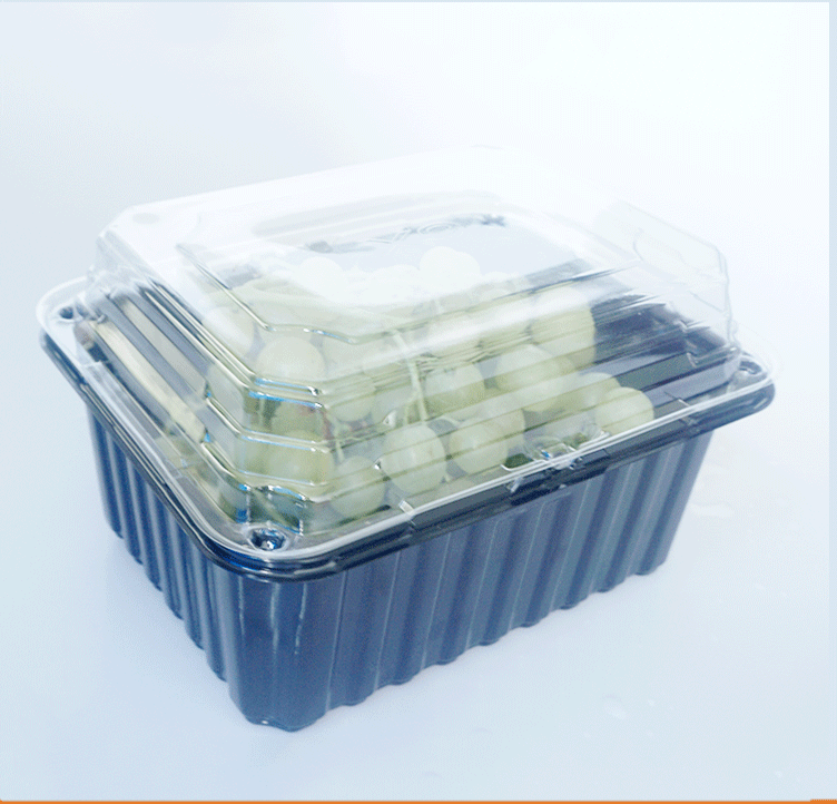 食品吸塑托盘生产厂家|生产吸塑包装盒|塑料食品包装盒|吸塑包装盒定做|吸塑包装盒生产厂家|吸塑水果包装盒|泡壳吸塑包装盒|水果吸塑包装盒批发|食品包装盒定做|草莓吸塑包装盒|一次性水果包装盒|水果吸塑包装厂家|食品包装盒吸塑盒|吸塑托盘定制|食品级吸塑托盘|超市吸塑托盘|水果吸塑托盘|吸塑泡壳厂家